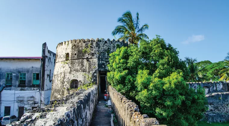 10 Travel Tips When Going on an African Safari