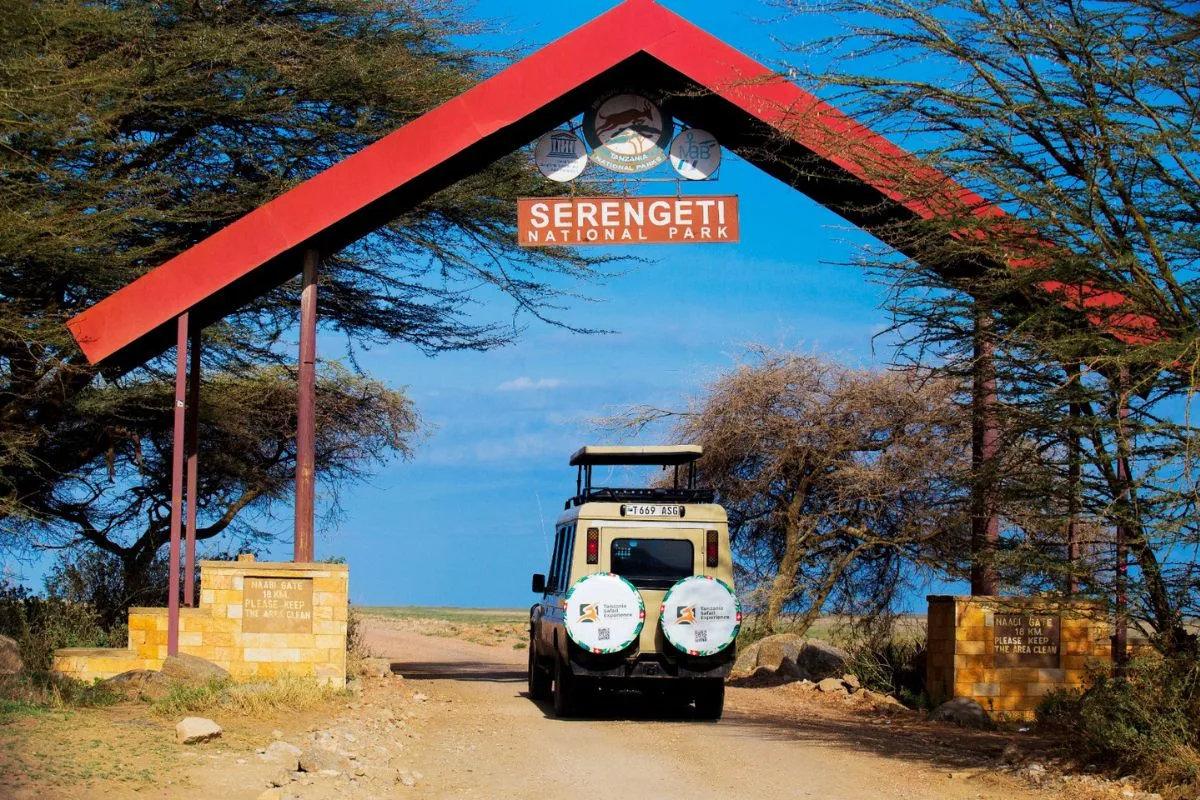 Tanzania Safari Experience Safari Jeep
