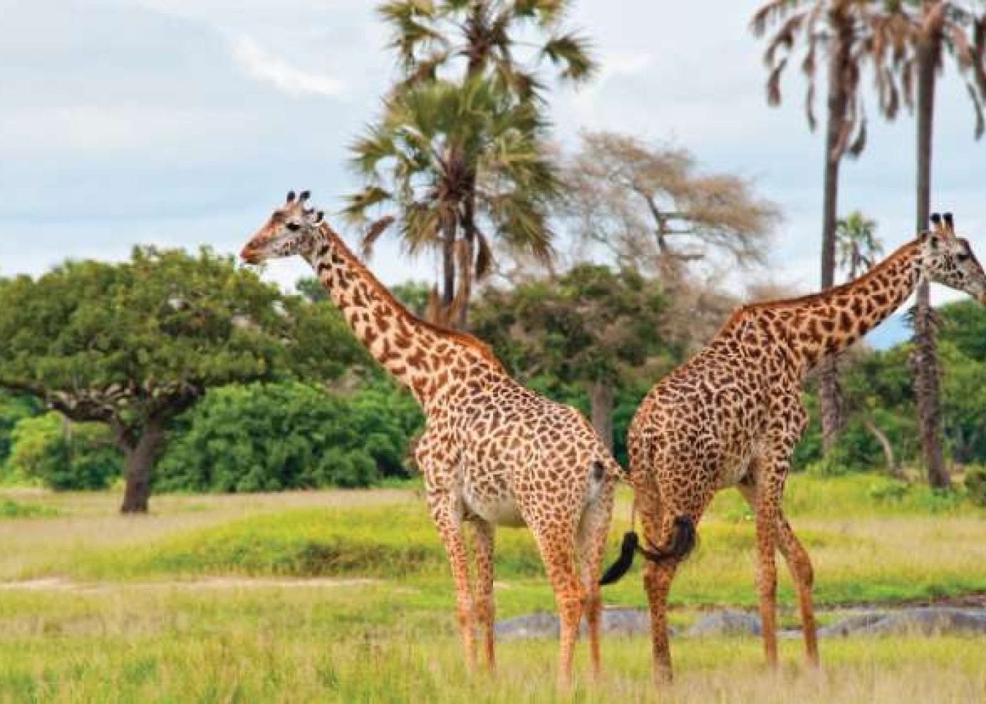 Arusha National Park