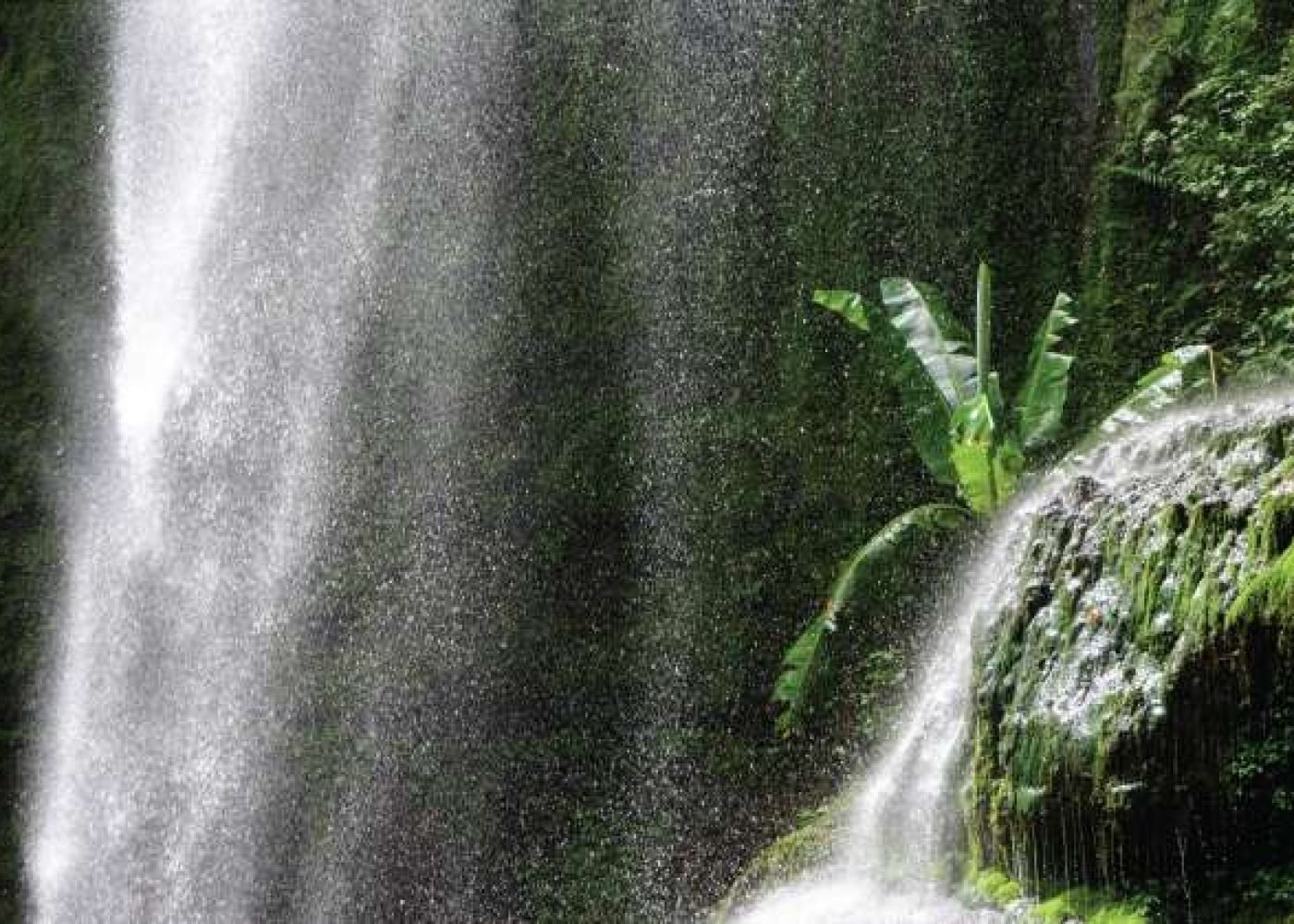 Udzungwa Mountains National Park