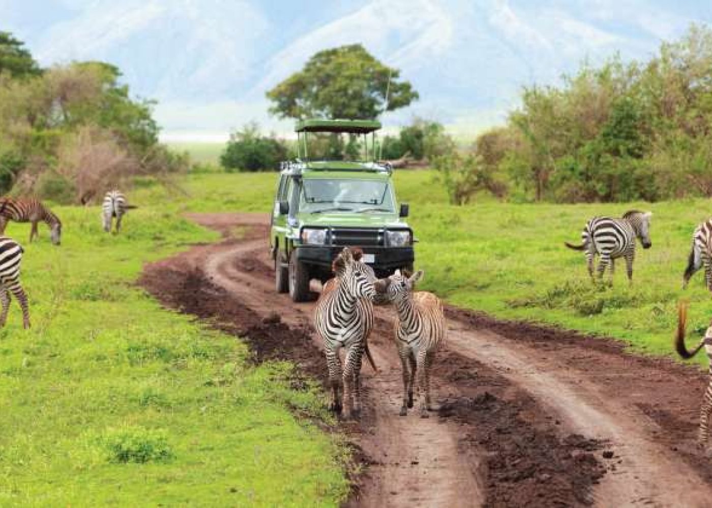 Mikumi National Park