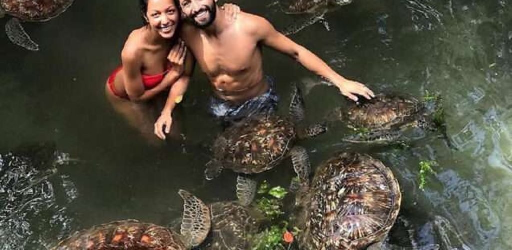 Swimming-With-Turtles-in-Aquarium-04-636x426